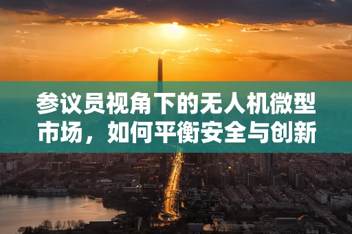 参议员视角下的无人机微型市场，如何平衡安全与创新的边界？