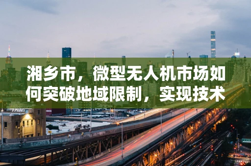 湘乡市，微型无人机市场如何突破地域限制，实现技术与应用双飞跃？