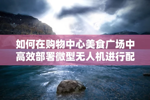 如何在购物中心美食广场中高效部署微型无人机进行配送服务？