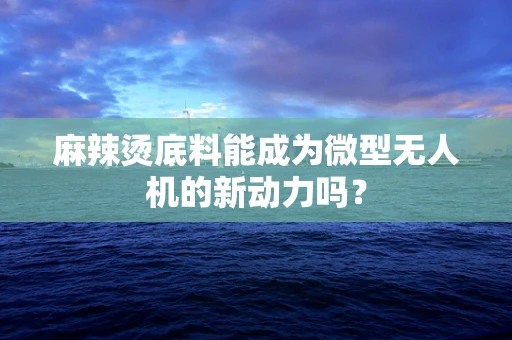 麻辣烫底料能成为微型无人机的新动力吗？