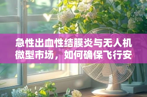 急性出血性结膜炎与无人机微型市场，如何确保飞行安全？