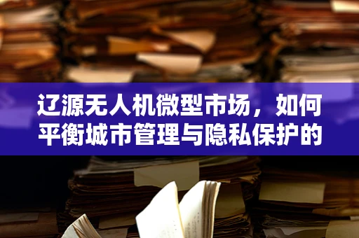 辽源无人机微型市场，如何平衡城市管理与隐私保护的微妙平衡？