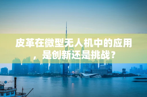 皮革在微型无人机中的应用，是创新还是挑战？