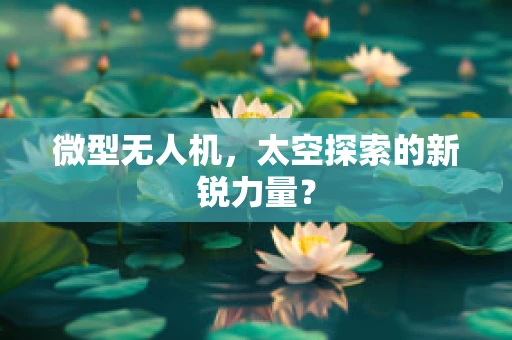 微型无人机，太空探索的新锐力量？