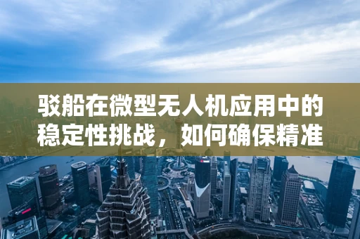 驳船在微型无人机应用中的稳定性挑战，如何确保精准起降？