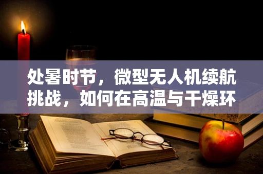 处暑时节，微型无人机续航挑战，如何在高温与干燥环境中保持稳定飞行？