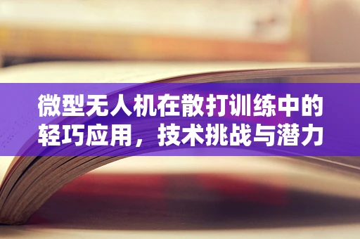 微型无人机在散打训练中的轻巧应用，技术挑战与潜力探索