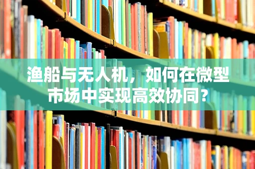 渔船与无人机，如何在微型市场中实现高效协同？