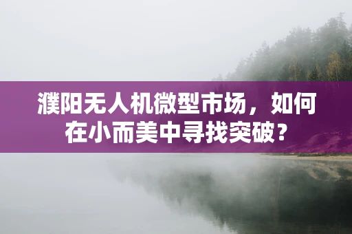 濮阳无人机微型市场，如何在小而美中寻找突破？