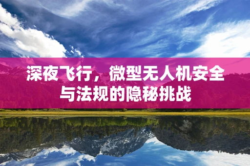 深夜飞行，微型无人机安全与法规的隐秘挑战