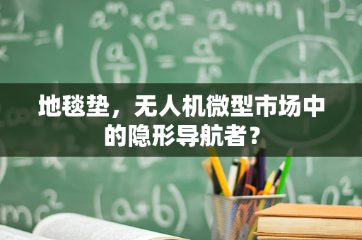 地毯垫，无人机微型市场中的隐形导航者？