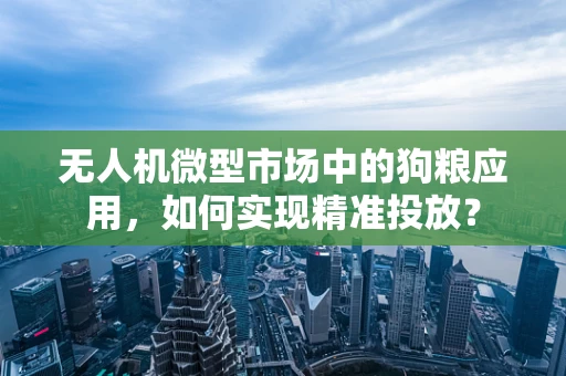 无人机微型市场中的狗粮应用，如何实现精准投放？