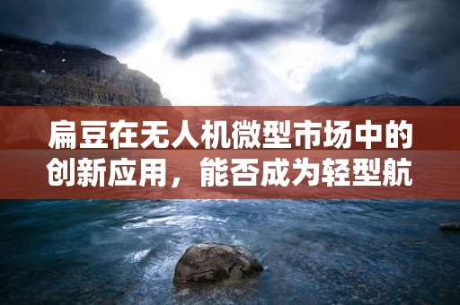 扁豆在无人机微型市场中的创新应用，能否成为轻型航拍新宠？