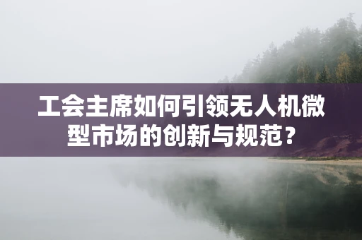 工会主席如何引领无人机微型市场的创新与规范？