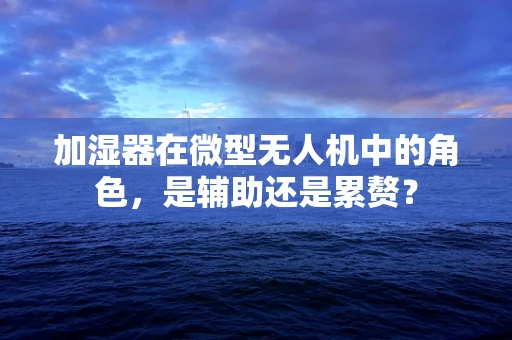 加湿器在微型无人机中的角色，是辅助还是累赘？