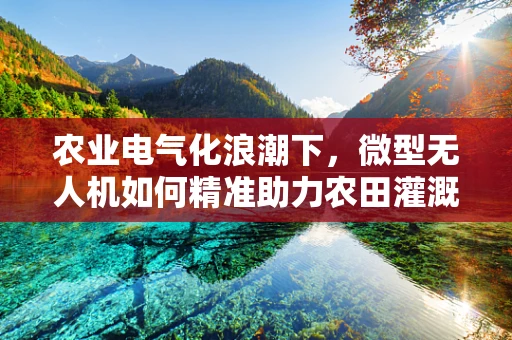 农业电气化浪潮下，微型无人机如何精准助力农田灌溉？