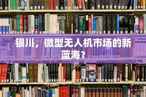 银川，微型无人机市场的新蓝海？