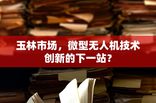 玉林市场，微型无人机技术创新的下一站？