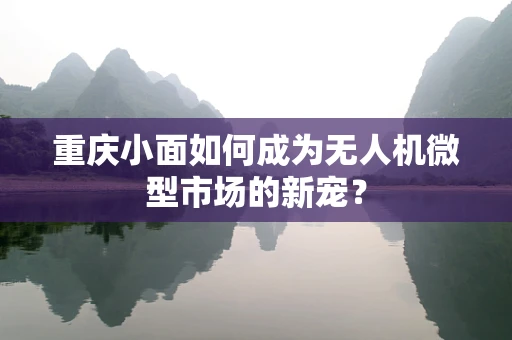 重庆小面如何成为无人机微型市场的新宠？