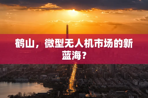 鹤山，微型无人机市场的新蓝海？