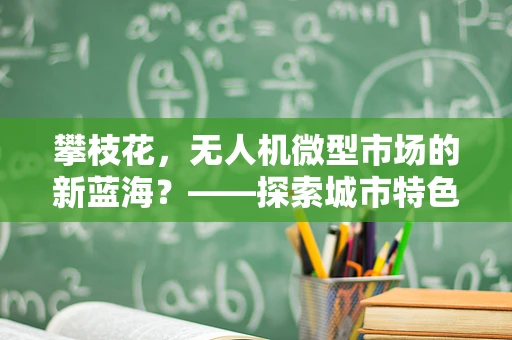 攀枝花，无人机微型市场的新蓝海？——探索城市特色与无人机技术的融合挑战