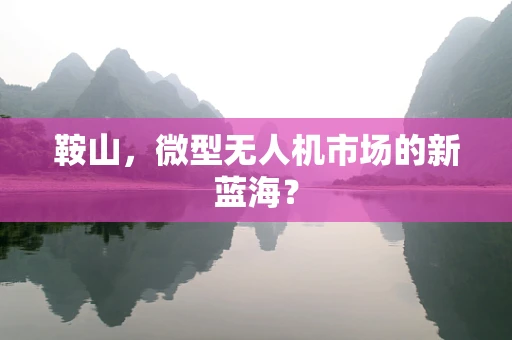 鞍山，微型无人机市场的新蓝海？