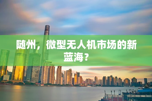 随州，微型无人机市场的新蓝海？