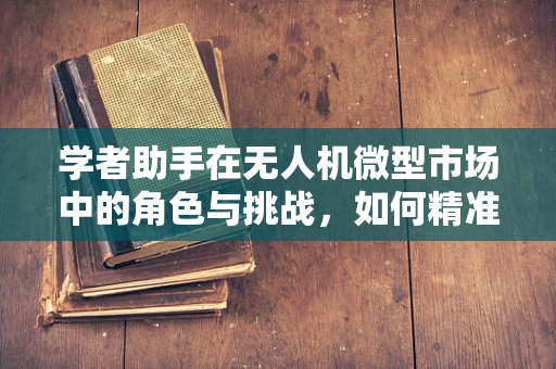 学者助手在无人机微型市场中的角色与挑战，如何精准辅助科研探索？