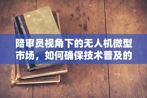 陪审员视角下的无人机微型市场，如何确保技术普及的公正与安全？