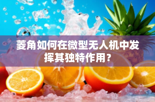 菱角如何在微型无人机中发挥其独特作用？