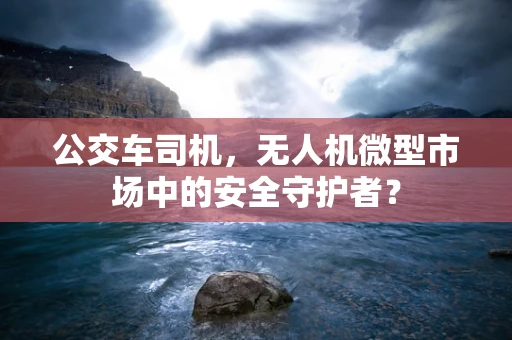 公交车司机，无人机微型市场中的安全守护者？