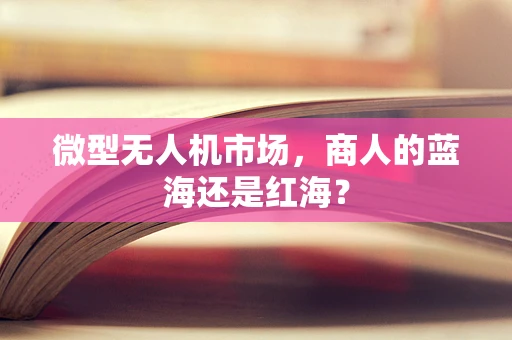 微型无人机市场，商人的蓝海还是红海？