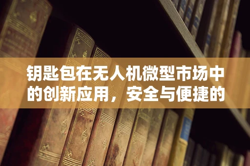 钥匙包在无人机微型市场中的创新应用，安全与便捷的双重挑战？