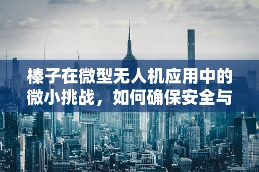 榛子在微型无人机应用中的微小挑战，如何确保安全与效能的平衡？