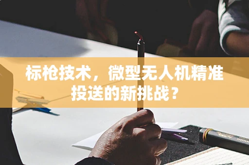 标枪技术，微型无人机精准投送的新挑战？