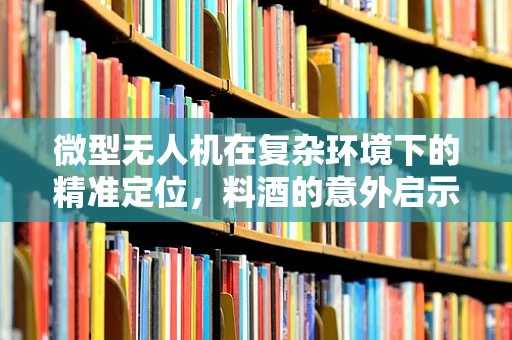 微型无人机在复杂环境下的精准定位，料酒的意外启示