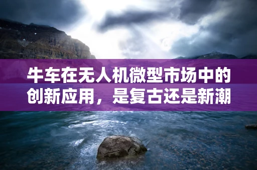 牛车在无人机微型市场中的创新应用，是复古还是新潮？