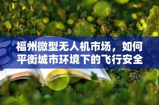 福州微型无人机市场，如何平衡城市环境下的飞行安全与高效应用？