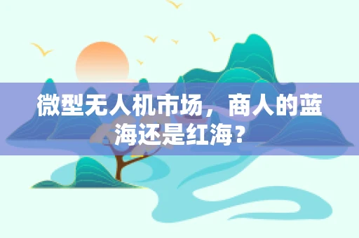 微型无人机市场，商人的蓝海还是红海？