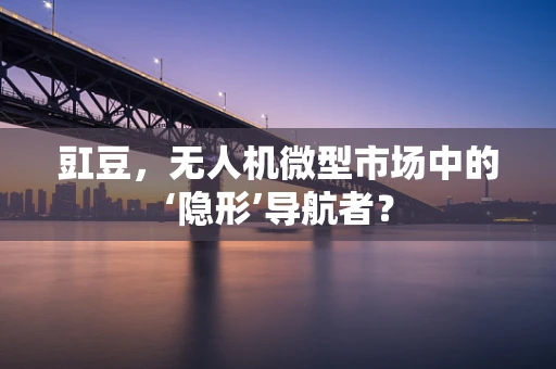 豇豆，无人机微型市场中的‘隐形’导航者？