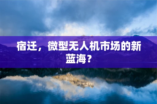 宿迁，微型无人机市场的新蓝海？