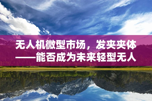 无人机微型市场，发夹夹体——能否成为未来轻型无人机的关键？