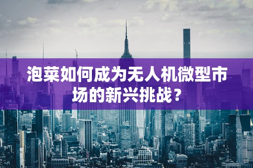 泡菜如何成为无人机微型市场的新兴挑战？