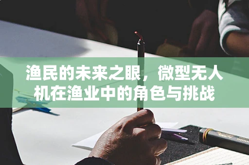 渔民的未来之眼，微型无人机在渔业中的角色与挑战