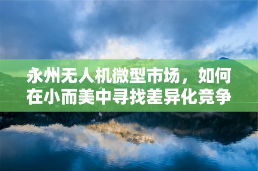 永州无人机微型市场，如何在小而美中寻找差异化竞争策略？