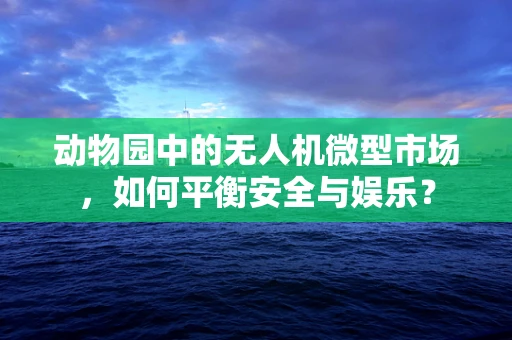 动物园中的无人机微型市场，如何平衡安全与娱乐？