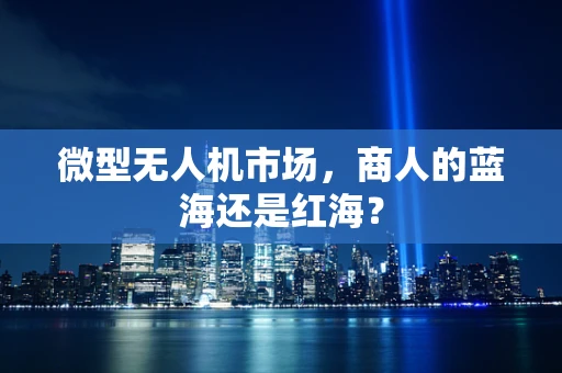 微型无人机市场，商人的蓝海还是红海？