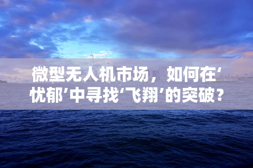 微型无人机市场，如何在‘忧郁’中寻找‘飞翔’的突破？