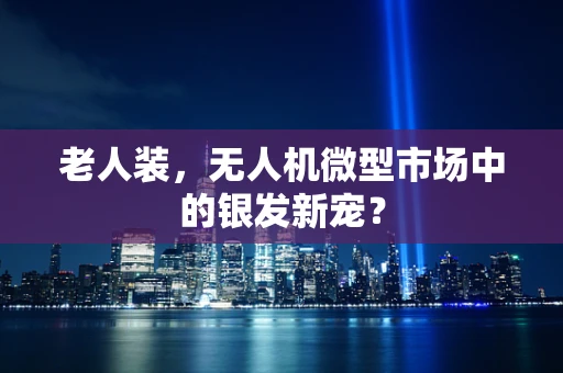 老人装，无人机微型市场中的银发新宠？