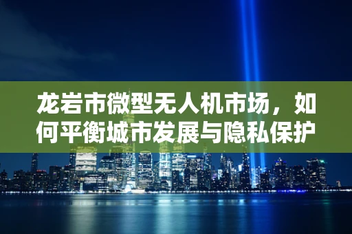 龙岩市微型无人机市场，如何平衡城市发展与隐私保护？